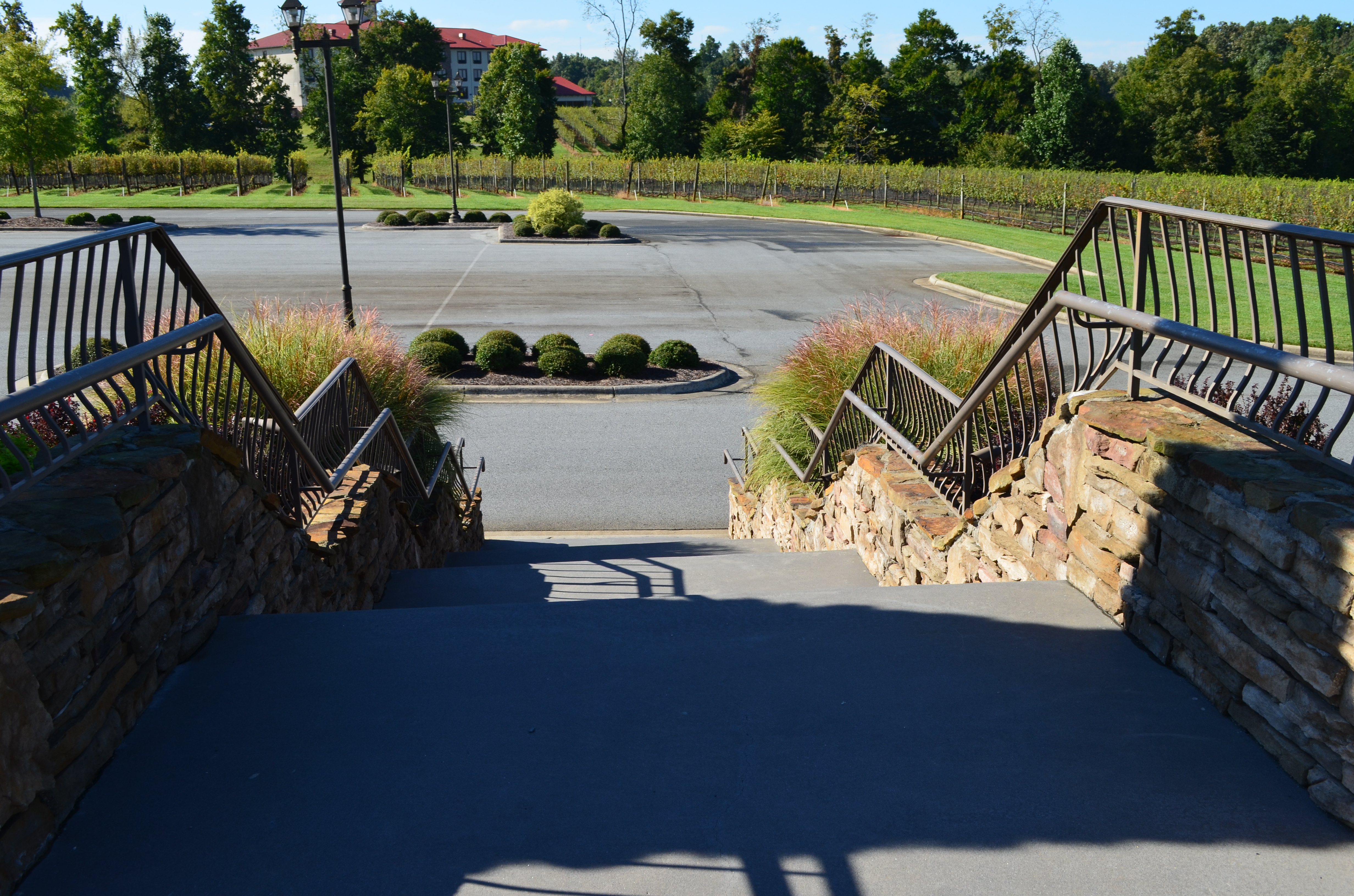 ./2013/Lexington NC/DSC_3002.JPG